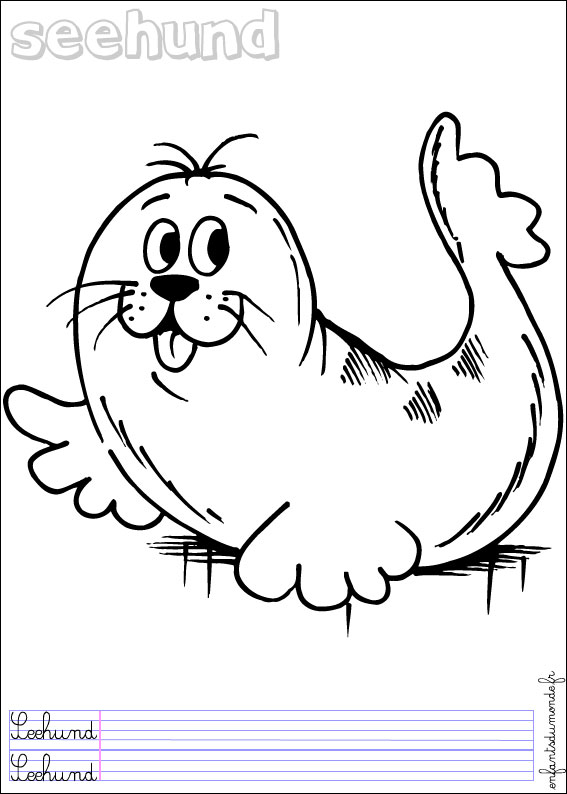 coloriage phoque 1